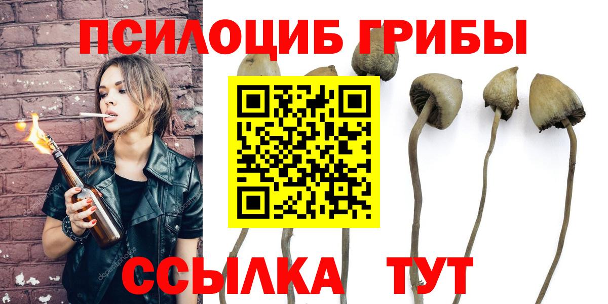 купить наркотик  Псилоцибиновые грибы мицелий  Вход с VPN  Галлюциногенные грибы Cubensis  Камышин 